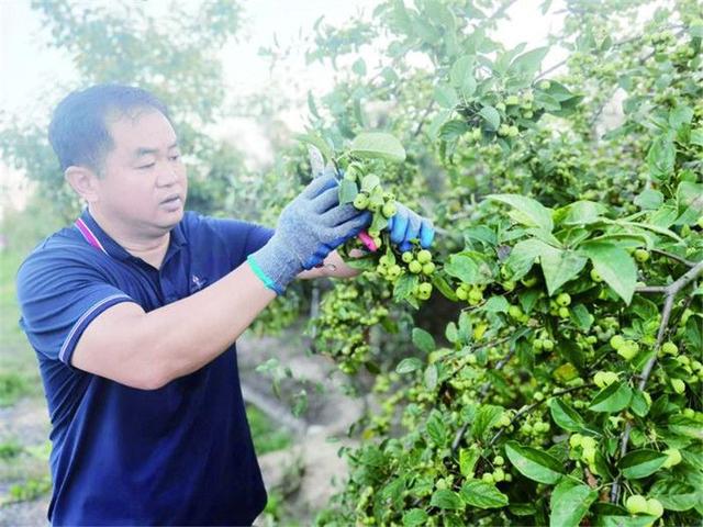 陈国庆：投身“花样”事业 建设美丽乡村(图1)