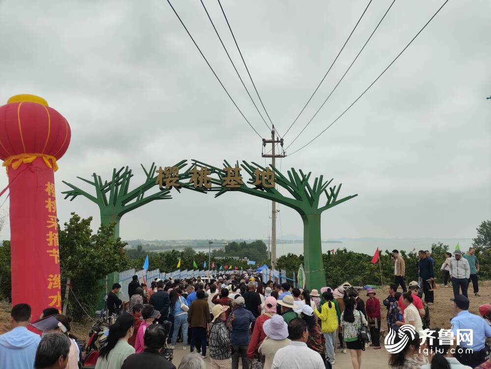 潍坊峡山区：甜了樱桃 美了乡村 富了村民(图2)