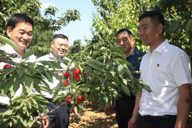 基层一线 护航樱桃“开门红”(图1)