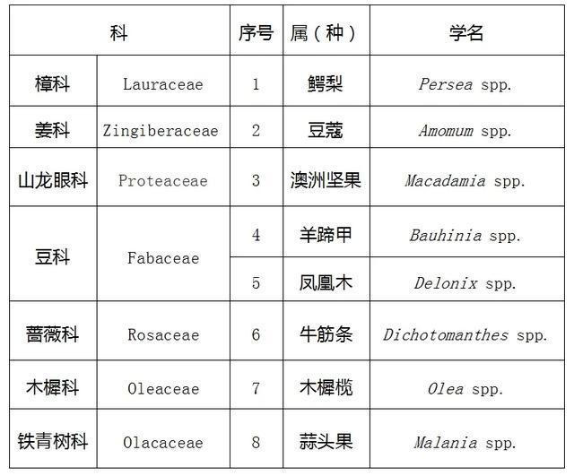 共8种！云南主要林木公布→(图1)